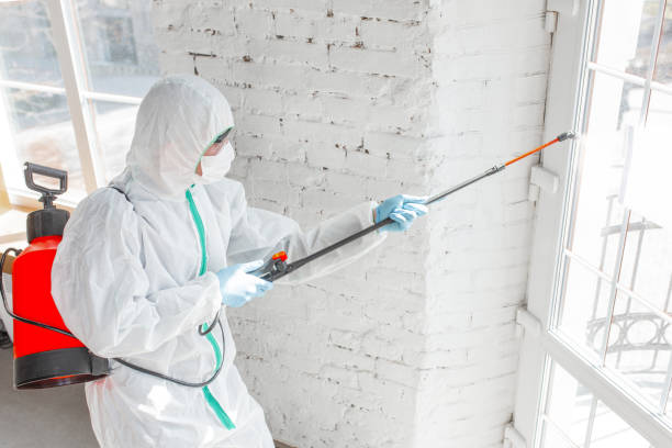 Best Asbestos and Lead Testing During Mold Inspection  in Ledgewood, NJ